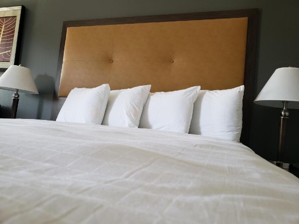 Portofino Inn Burbank image 7